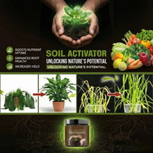 Load image into Gallery viewer, 🌱 Soil Activator – Your Plant’s Best Friend 🌿 (BUY 1 GET 1 FREE 🎁)