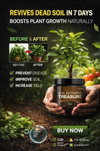 Load image into Gallery viewer, 🌱 Soil Activator – Your Plant’s Best Friend 🌿 (BUY 1 GET 1 FREE 🎁)
